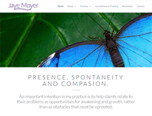 Tablet Screenshot of jayemoyer.com